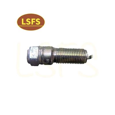 OEM 10162965 Σπινθήρα για Maxus G10 2.0T High Standard