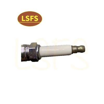 OEM 10162965 Σπινθήρα για Maxus G10 2.0T High Standard