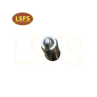 OEM 10162965 Σπινθήρα για Maxus G10 2.0T High Standard